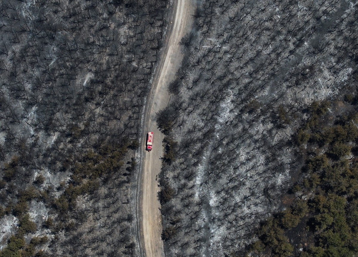 İzmir'in Aliağa ilçesinde başlayıp Foça'ya sıçrayan orman yangınında zarar gören alan havadan...