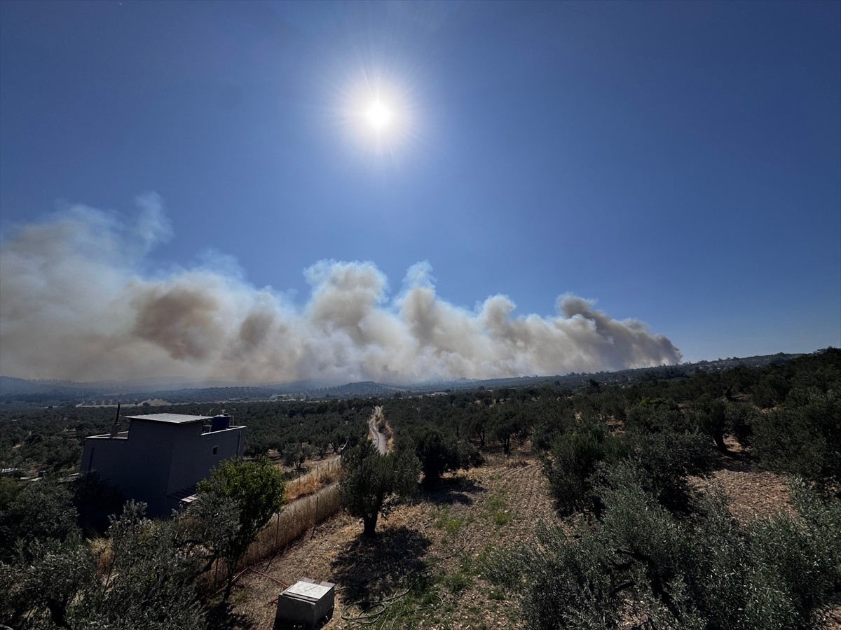 İzmir'in Aliağa ilçesinde ormanlık alanda başlayan yangına, orman bölge müdürlüğü ve itfaiye...