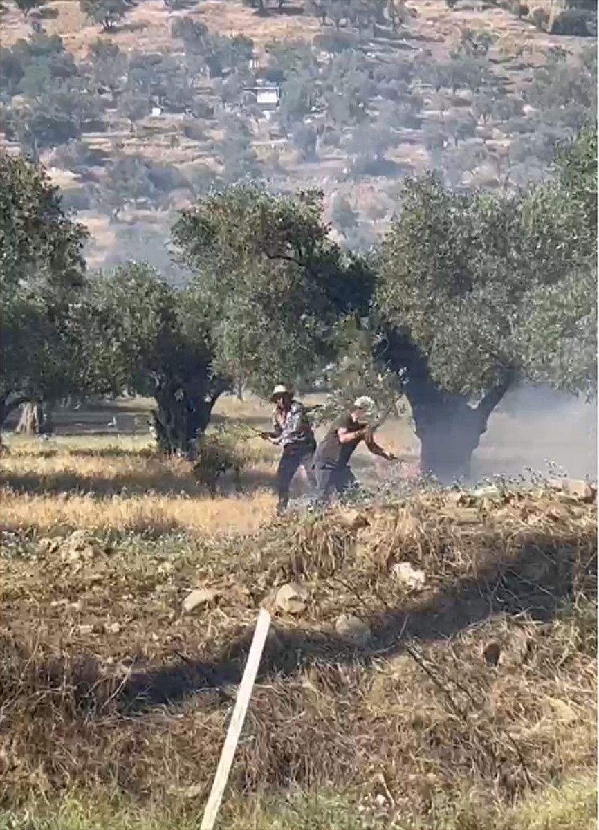  İzmir'in Bayındır ilçesinde zeytin ağaçlarının bulunduğu alanda çıkan yangın...