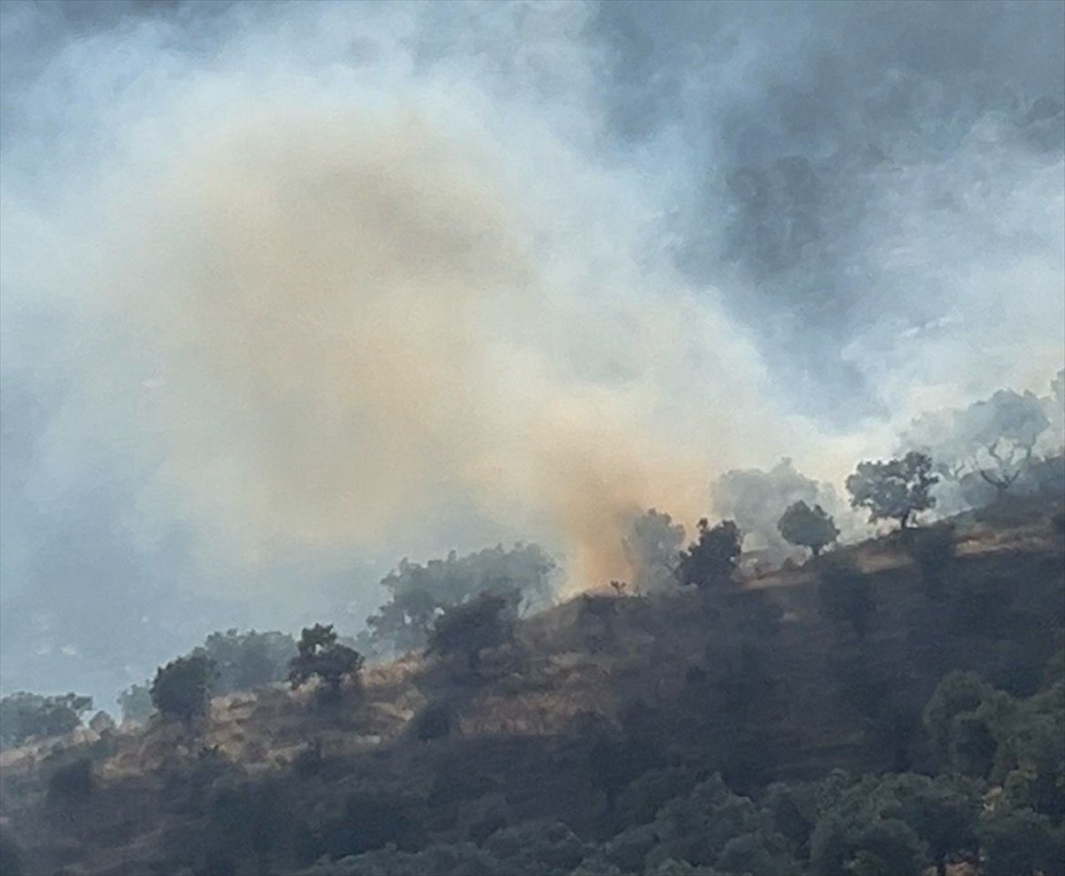  İzmir'in Bayındır ilçesinde, zeytinlik alanda çıkan yangın, ekiplerin müdahalesiyle kontrol...