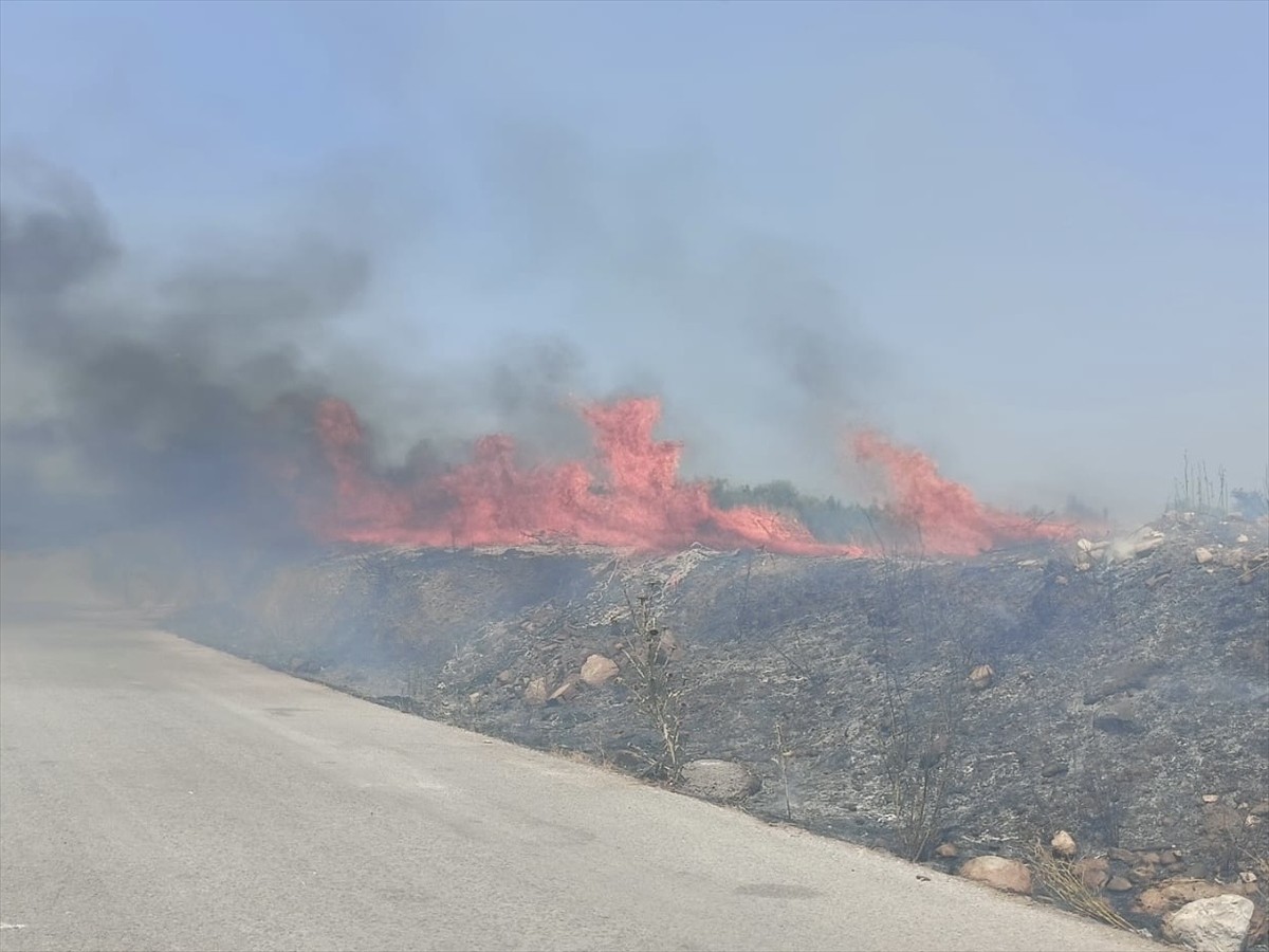 İzmir'in Kemalpaşa ilçesindeki boş arazide çıkan yangın kontrol altına alındı.