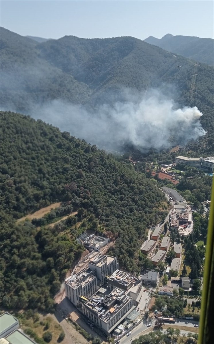 İzmir'in Narlıdere ilçesinde çıkan orman yangınına havadan ve karadan müdahale ediliyor.