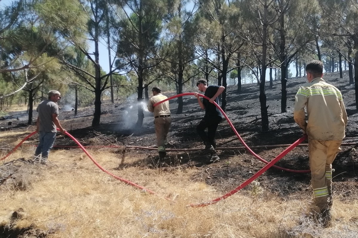 Kahramanmaraş'ın Türkoğlu ilçesinde ormanlık alanda çıkan yangın söndürüldü. Yaklaşık 2 hektar...