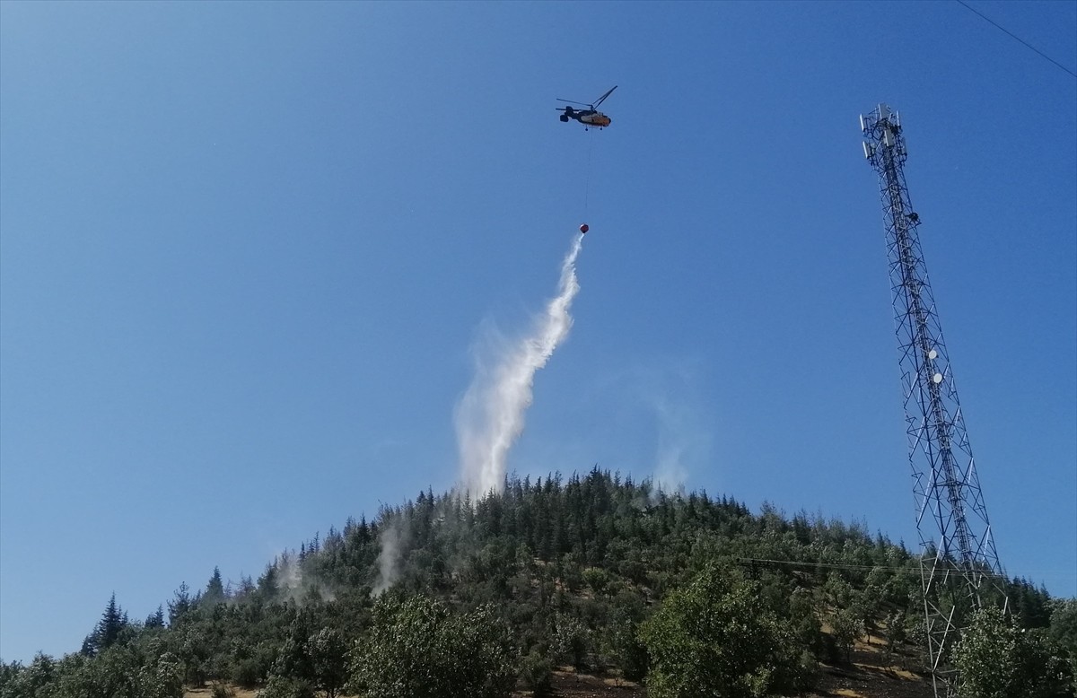 Kahramanmaraş'ın Türkoğlu ilçesinde ormanlık alanda çıkan yangın söndürüldü. Yaklaşık 2 hektar...