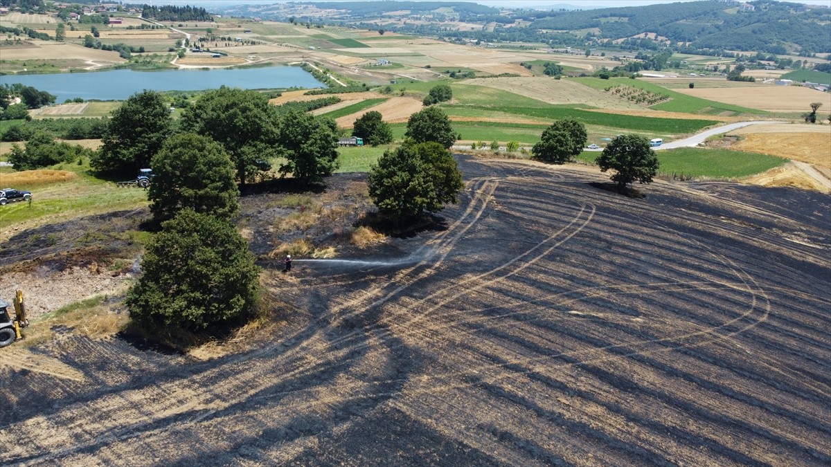 Kocaeli'nin İzmit ilçesinde çıkan yangında yaklaşık 150 dönüm tarım arazisi zarar gördü.