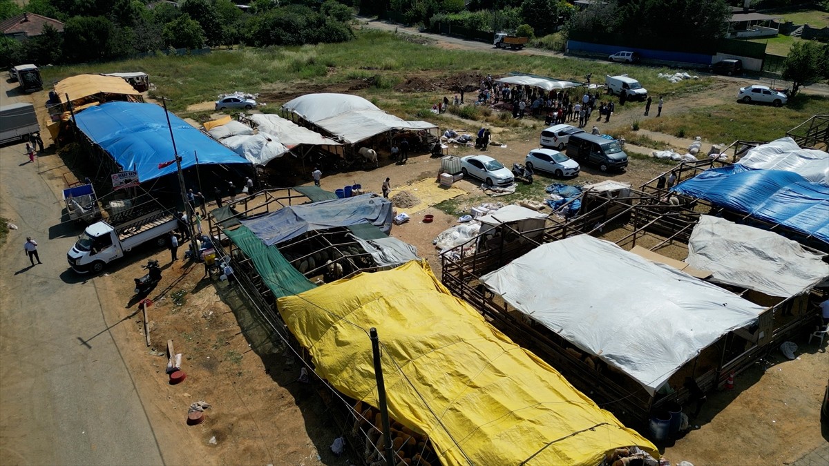 Kurban Bayramı'nın birinci gününde kurban satış ve kesim noktalarında yoğunluk yaşanırken bazı...