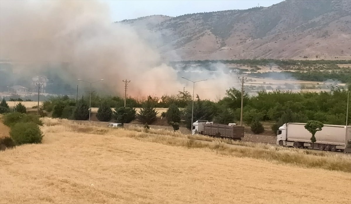  Malatya'nın Kale ilçesinde otluk alanda çıkan yangın itfaiye ekiplerince söndürüldü.