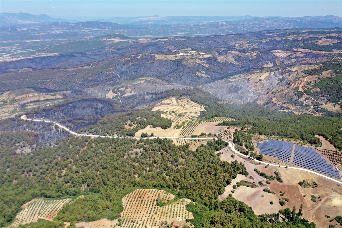 Manisa'nın Akhisar ilçesinde 28 Haziran'da çıkan orman yangınına havadan ve karadan müdahale devam...