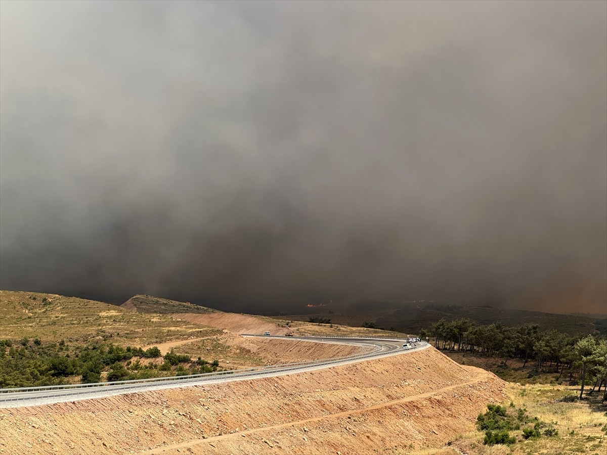 Manisa'nın Akhisar ilçesinde çıkan orman yangınına havadan ve karadan müdahale ediliyor. Bölgeye...