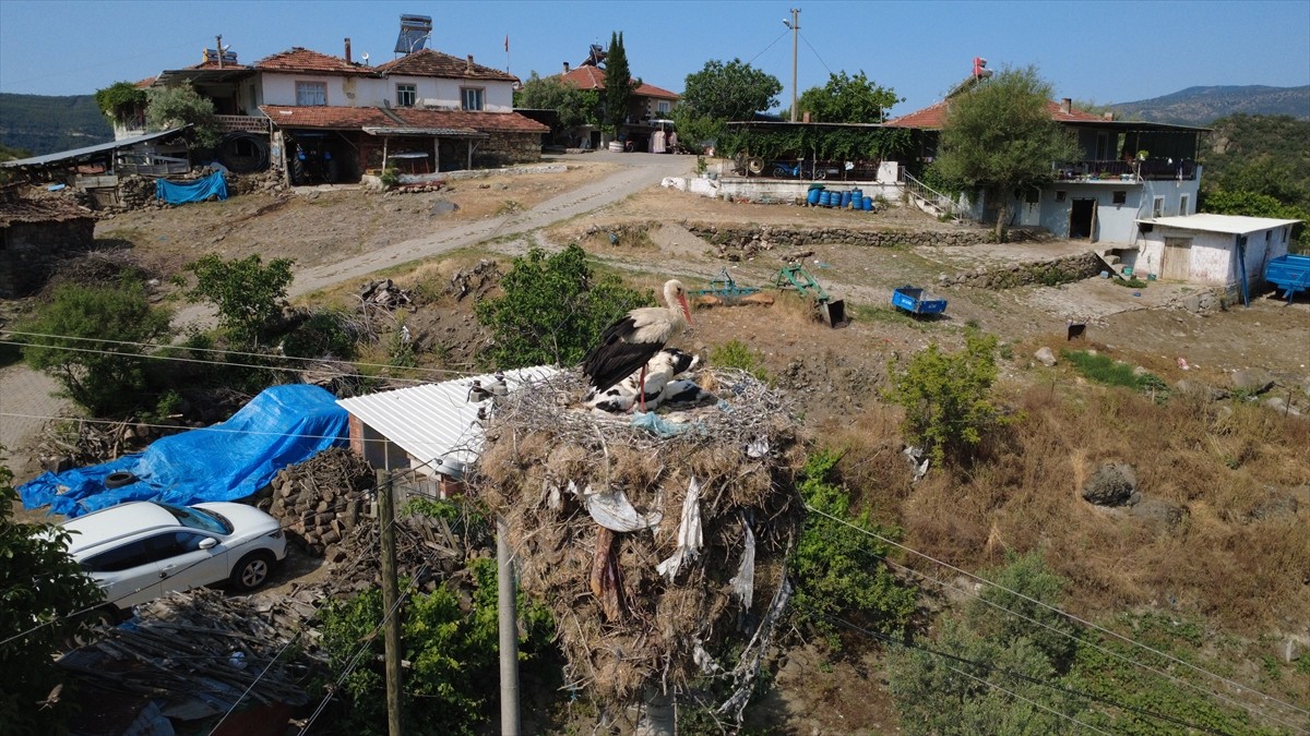 Manisa'nın Demirci ilçesinde 25 yıldır aynı direğe yuva kuran leylekler için enerji hattının yeri...