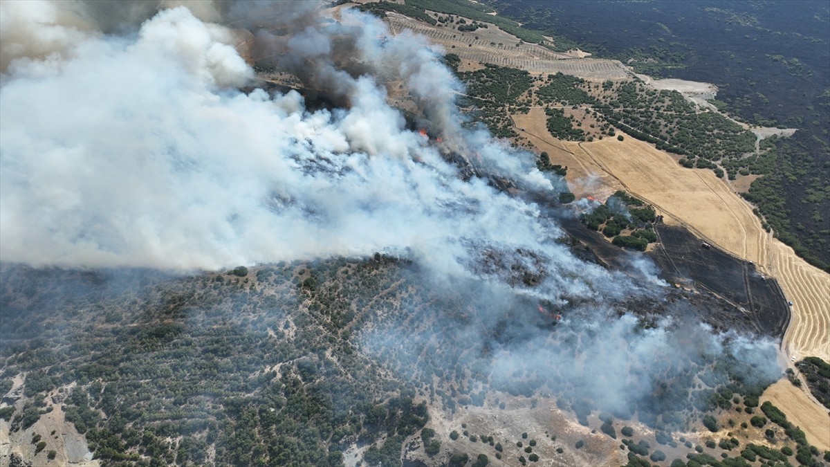 Manisa'nın Kula ilçesinde çıkan orman yangınına ekipler havadan ve karadan müdahale ediyor.