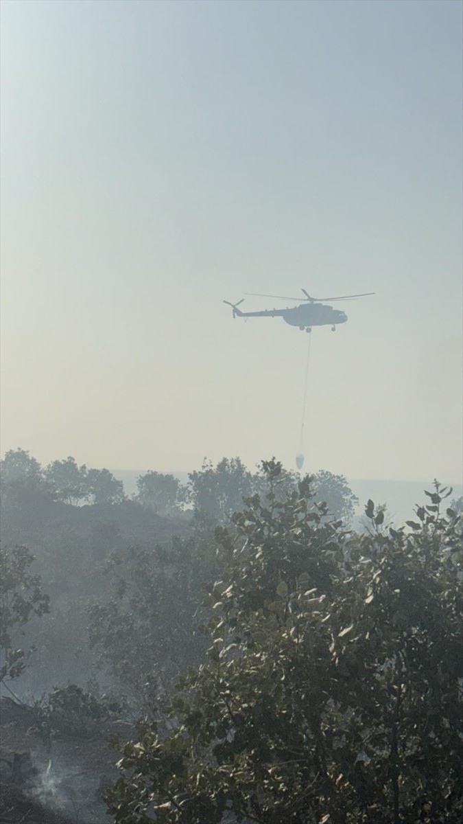 Mardin'in Nusaybin ilçesinde ormanlık alanda çıkan yangını söndürme çalışmaları...
