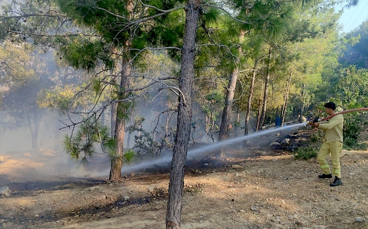 Mersin'in Aydıncık ilçesinde çıkan orman yangını karadan müdahaleyle söndürüldü.