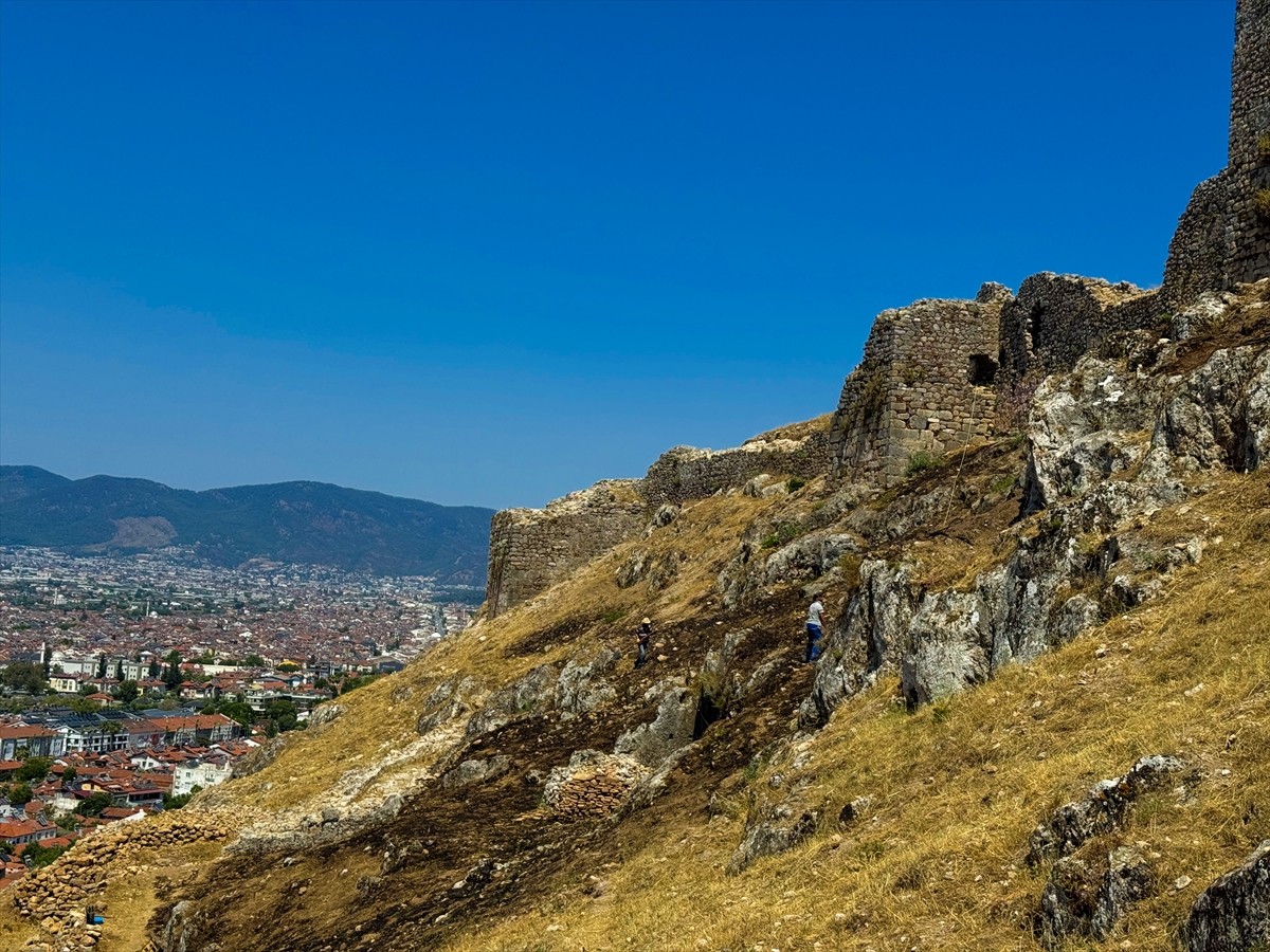 Muğla'da, Fethiye Kalesi'nin arkeolojik kazı alanındaki otluk alanda çıkan yangın...