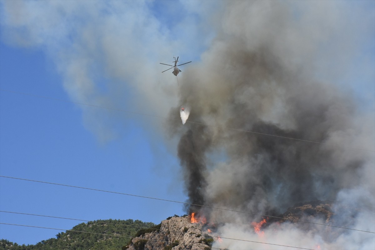 Muğla'nın Bodrum ilçesinde çıkan orman yangını, havadan ve karadan müdahaleyle kontrol altına...