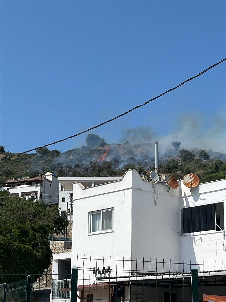Muğla'nın Bodrum ilçesinde makilik alanda çıkan yangın havadan ve karadan müdahaleyle...
