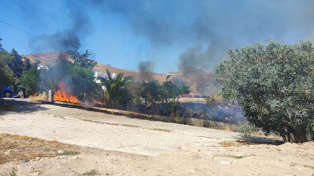Muğla'nın Bodrum ilçesinde makilik ve otluk alanda çıkan yangın söndürüldü.