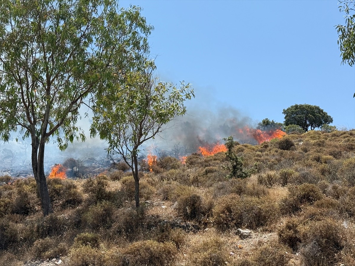 Muğla'nın Bodrum ilçesinde makilik ve otluk alanda çıkan yangına karadan ve havadan müdahale...