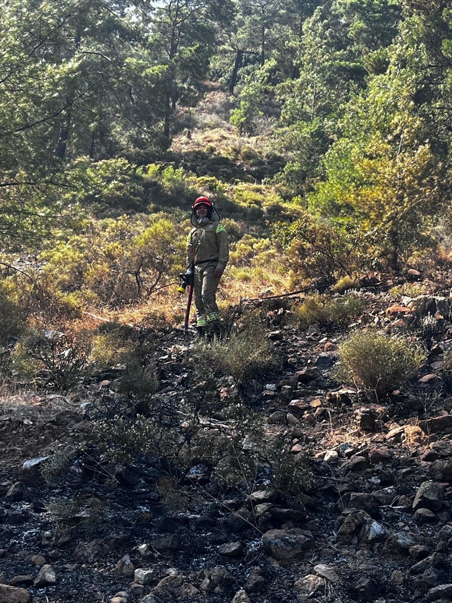 Muğla'nın Köyceğiz ilçesinde çıkan orman yangını büyümeden söndürüldü.