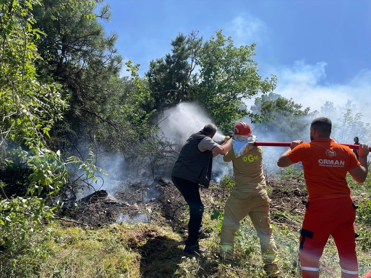 Muğla'nın Köyceğiz ilçesinde çıkan orman yangını büyümeden söndürüldü.