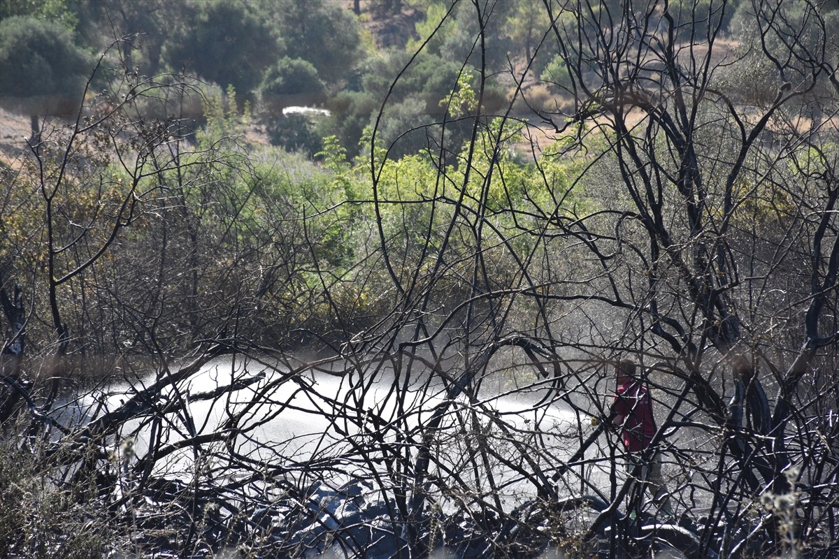 Muğla'nın Marmaris ilçesinde ziraat ve ormanlık alanda çıkan yangın, havadan ve karadan...