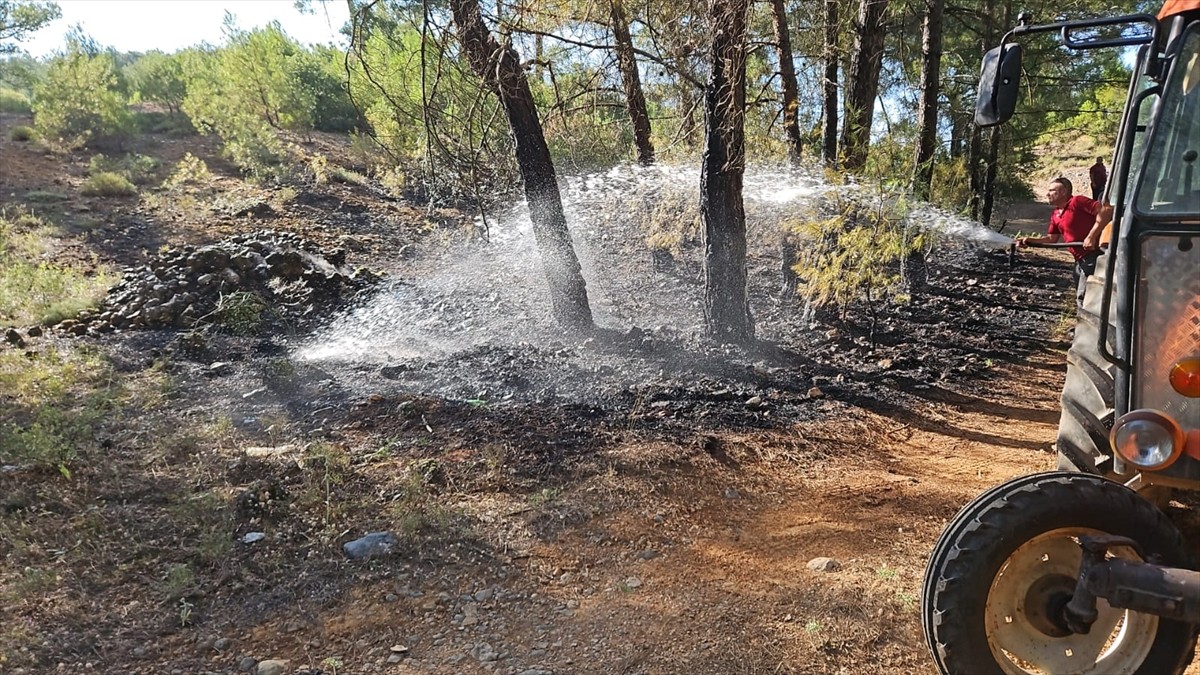 Muğla'nın Menteşe ilçesinde çıkan orman yangını büyümeden söndürüldü.