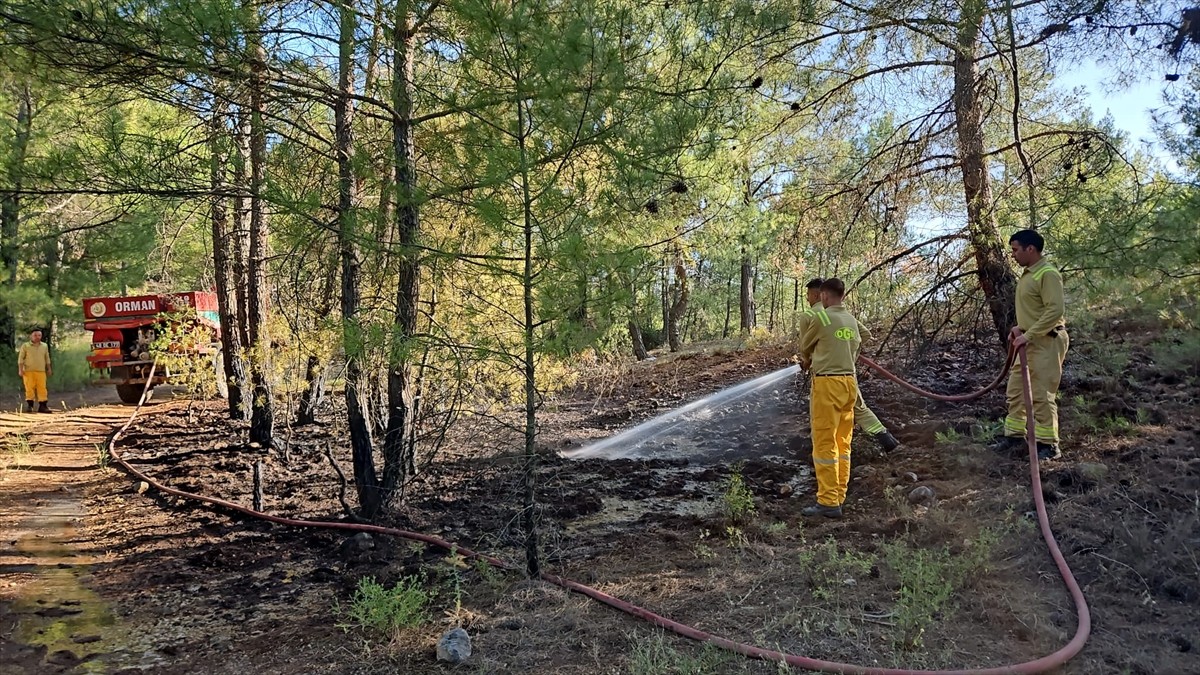  Muğla'nın Menteşe ilçesinde çıkan orman yangını büyümeden söndürüldü.