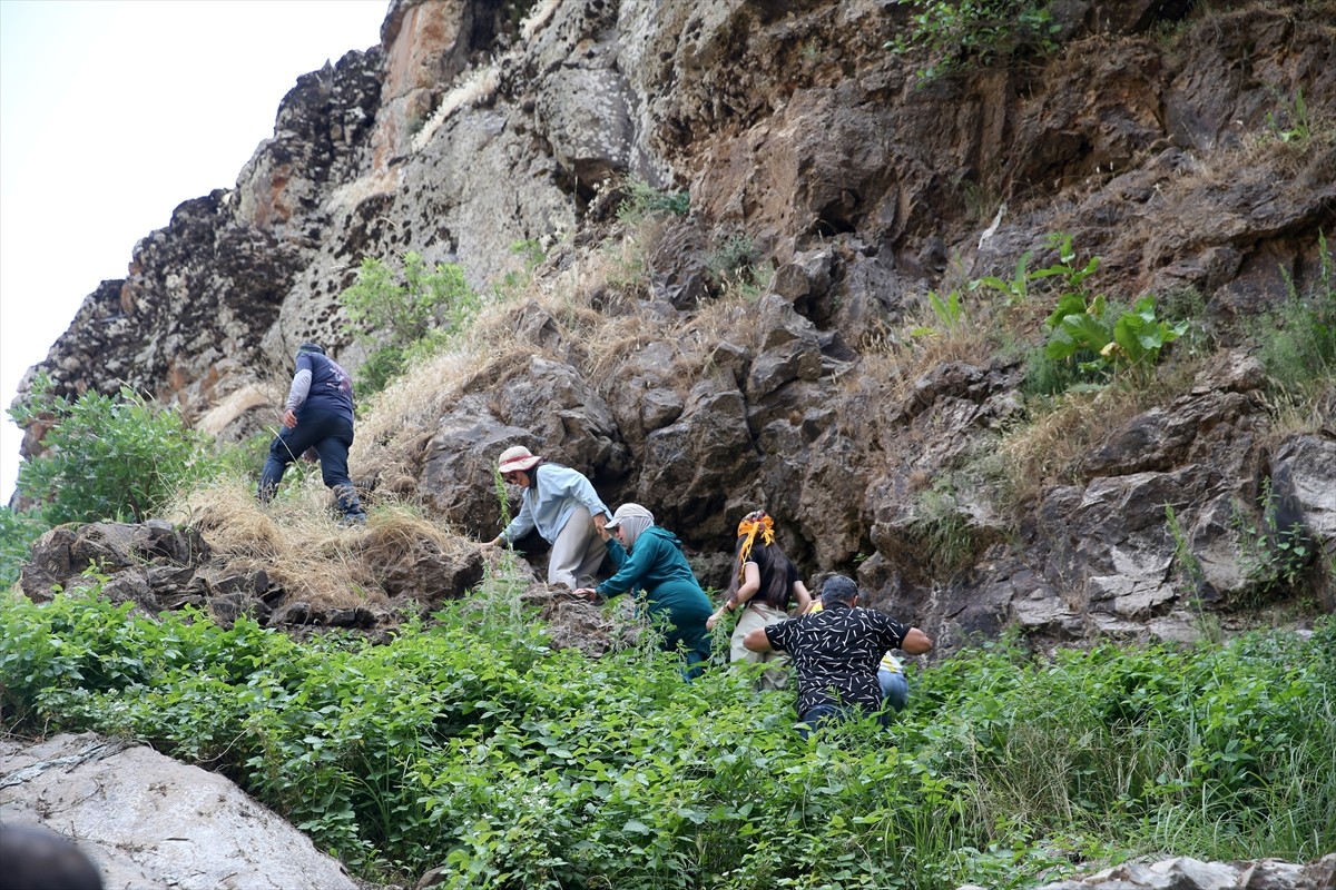 Muş Valisi Avni Çakır ve doğa tutkunları, kentin doğal güzelliklerinin tanıtımına katkı sunmak ve...