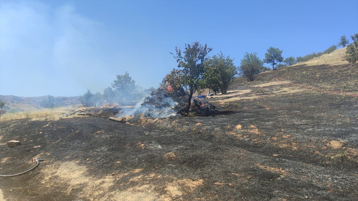 Ödemiş ilçesine bağlı Kurucuova Mahallesi'nde çıkan yangın da itfaiye ekiplerince kısa sürede...