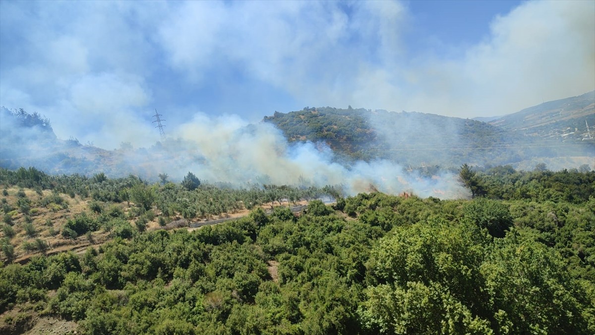 Osmaniye'nin Düziçi ilçesinde çıkan orman yangını, ekiplerin havadan ve karadan müdahalesiyle...