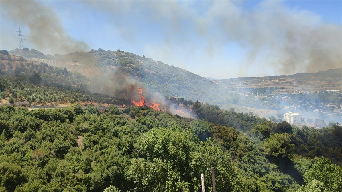 Osmaniye'nin Düziçi ilçesinde çıkan orman yangını, ekiplerin havadan ve karadan müdahalesiyle...
