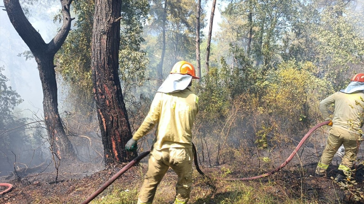 Osmaniye'nin Kadirli ilçesinde ormanlık alanda çıkan yangına havadan ve karadan müdahale...