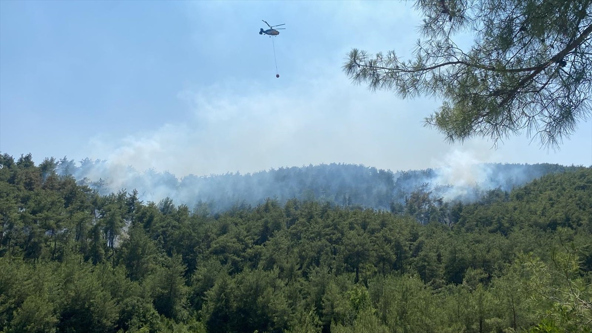 Osmaniye'nin Kadirli ilçesinde ormanlık alanda çıkan yangına havadan ve karadan müdahale...