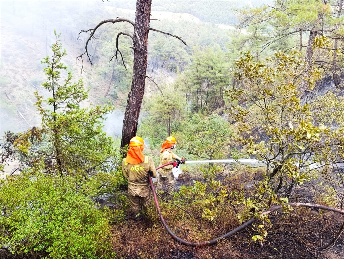 Sakarya'da çıkıp Bilecik tarafına sıçrayan orman yangınında ekiplerin söndürme ve soğutma...