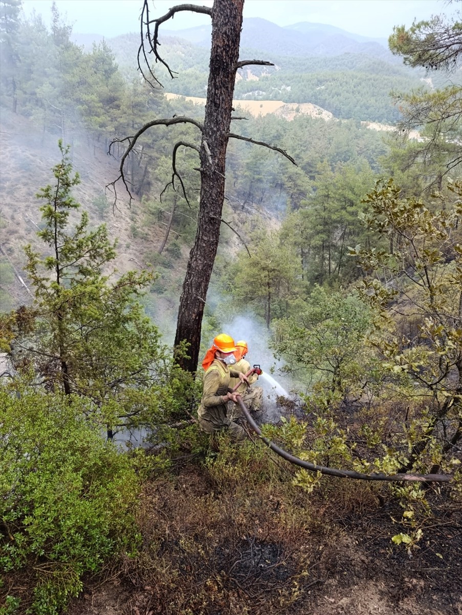Sakarya'da çıkıp Bilecik tarafına sıçrayan orman yangınında ekiplerin söndürme ve soğutma...