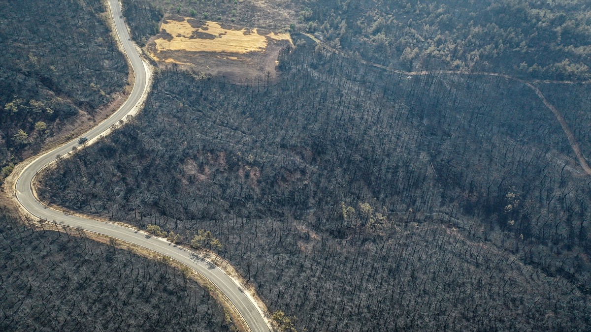 Sakarya'da ormanlık alanda başlayıp Bilecik tarafına sıçrayan yangında zarar gören alanlar dronla...