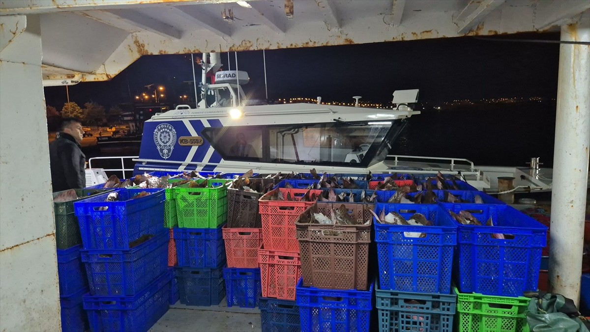 Samsun'da kaçak avlandığı belirlenen 6 ton kalkan balığına el konuldu.