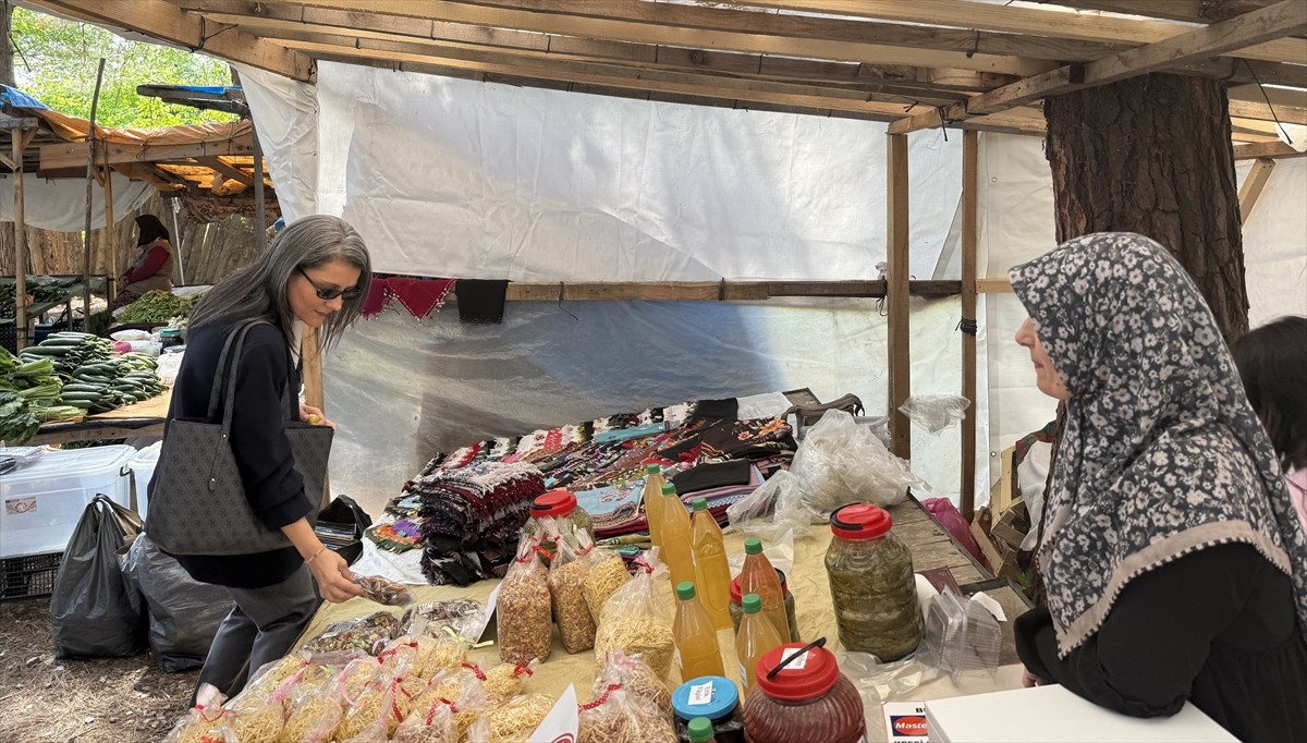 Samsun'un Alaçam ilçesinde tarım alanında üretim yapan kadınların çalışmalarını anlatan tanıtım...