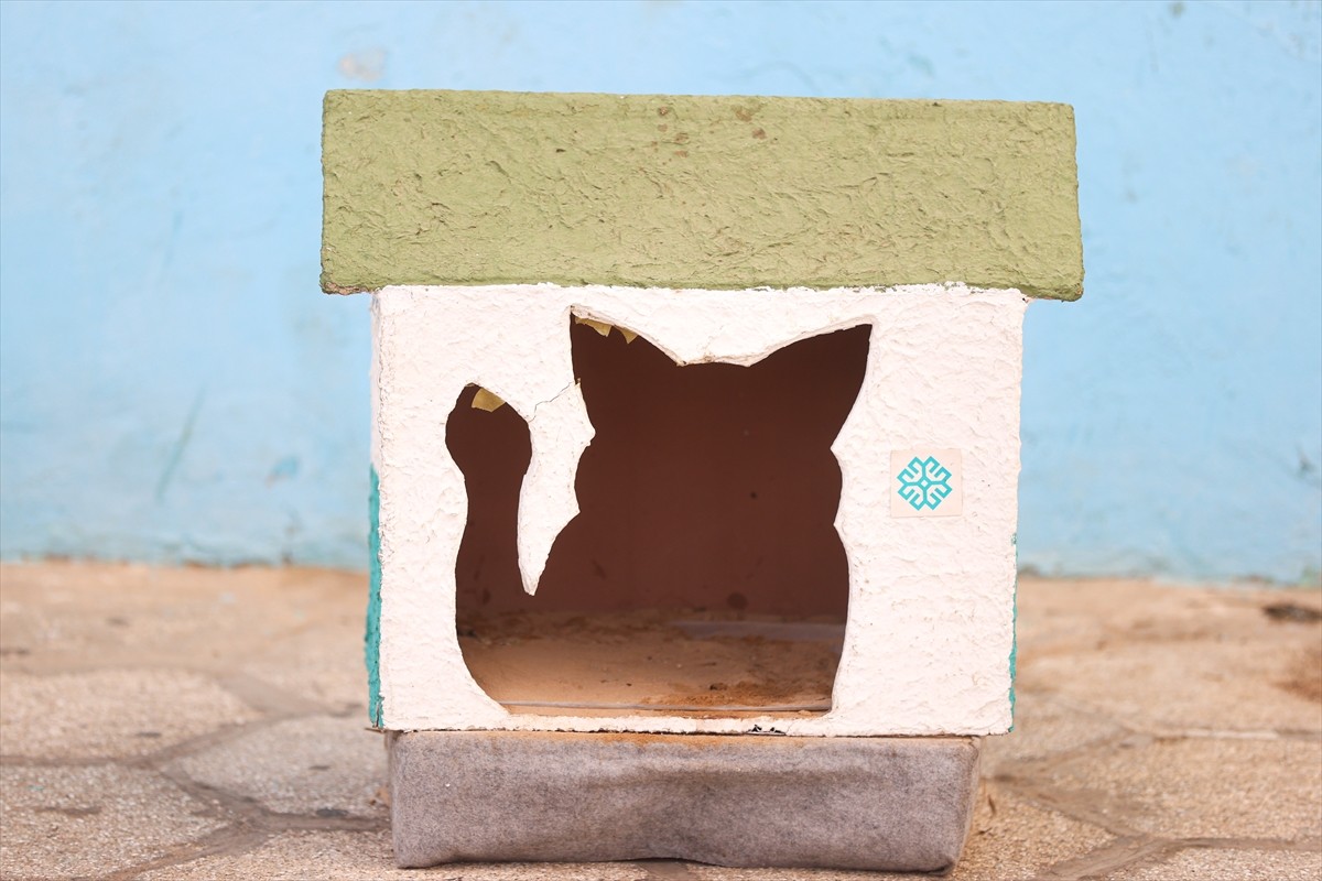 Senegal’in başkenti Dakar’daki Maarif Okulu’nda öğretmenler, Cumhurbaşkanı Recep Tayyip Erdoğan’ın...