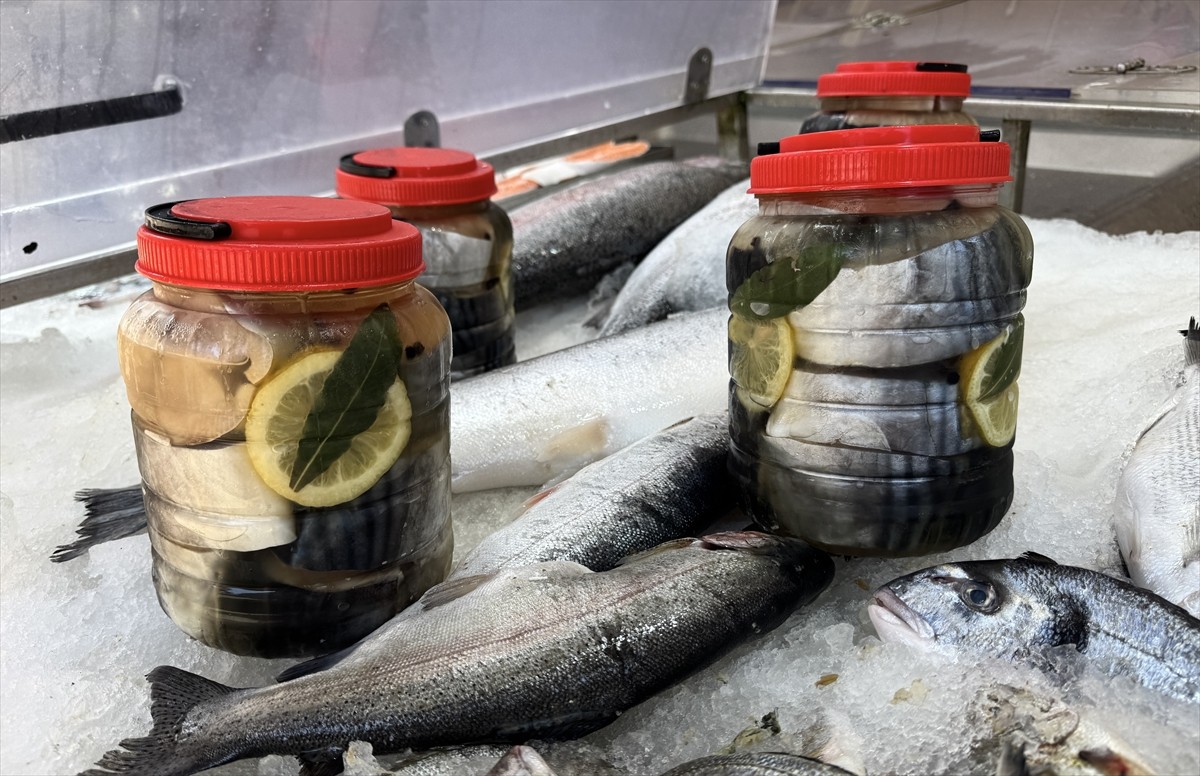 Sinop'ta av sezonunda balıkçılar tarafından avlanarak lakerda (tuzlu balık) yapılan palamutlar...