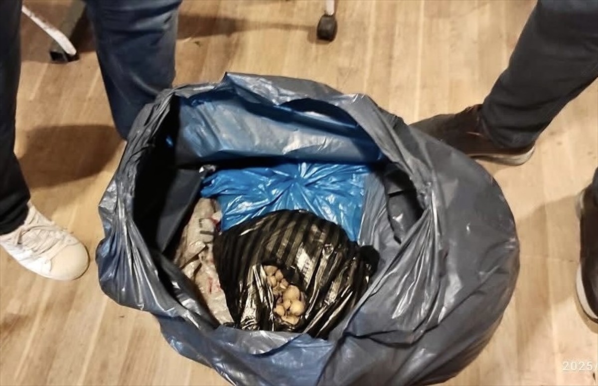 Sinop'ta, nesli tehlike altındaki yabani orkidenin (salep) izinsiz satışına ilişkin bir kişi...