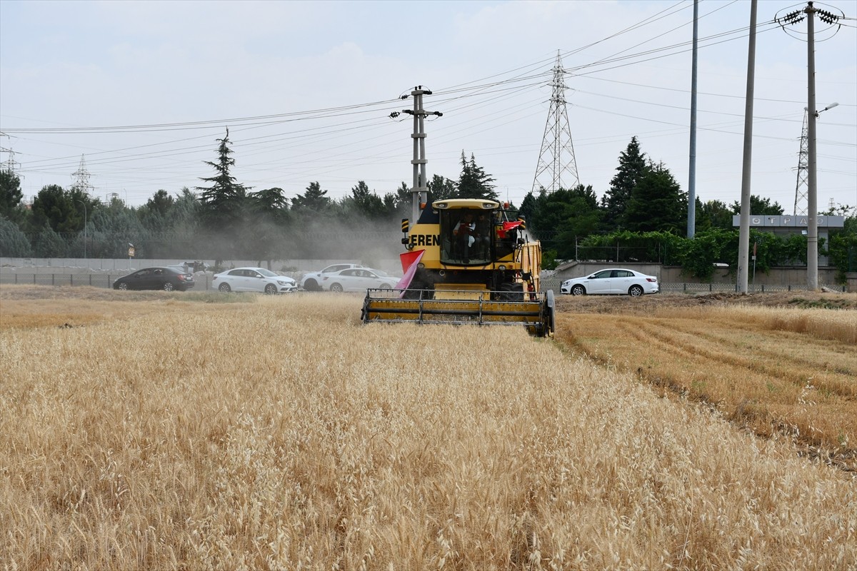 Tarım ve Orman Bakanı İbrahim Yumaklı, Batman merkeze bağlı Erköklü Mahallesi'nde düzenlenen...