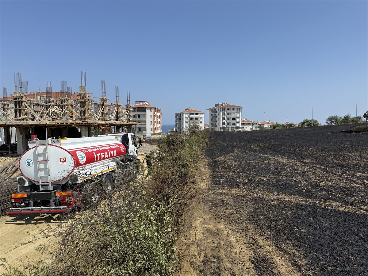 Tekirdağ'da bir tarlada çıkan yangında 30 dekar buğday ekili alan yandı.