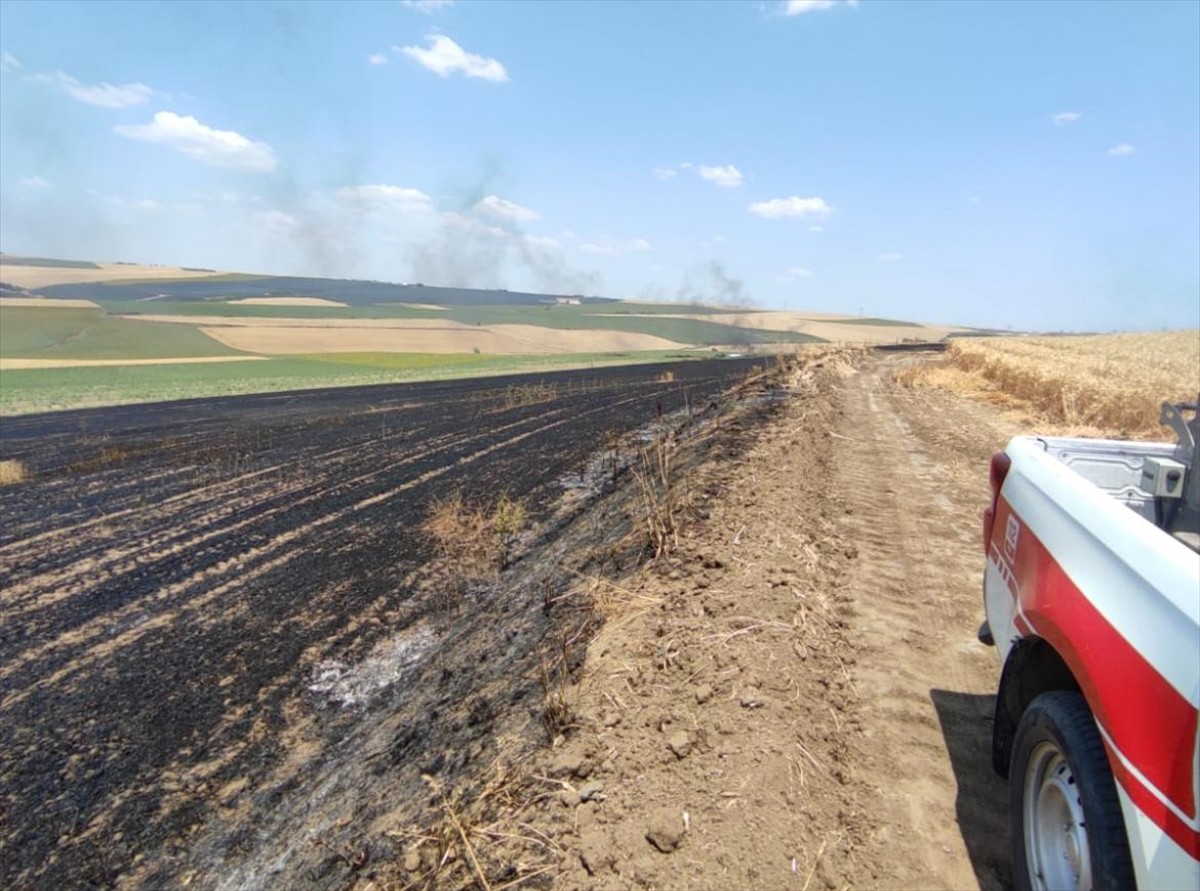 Tekirdağ'ın Çorlu ilçesinde çıkan yangında 70 dönüm ekili buğday tarlası zarar gördü. 