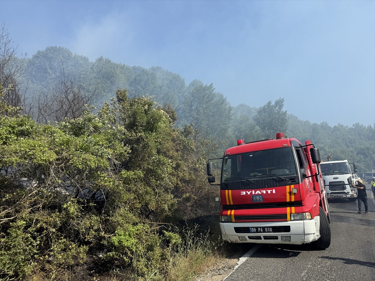 Tekirdağ'ın Şarköy ilçesinde buğday tarlasında başlayıp makilik alana sıçrayan yangın...