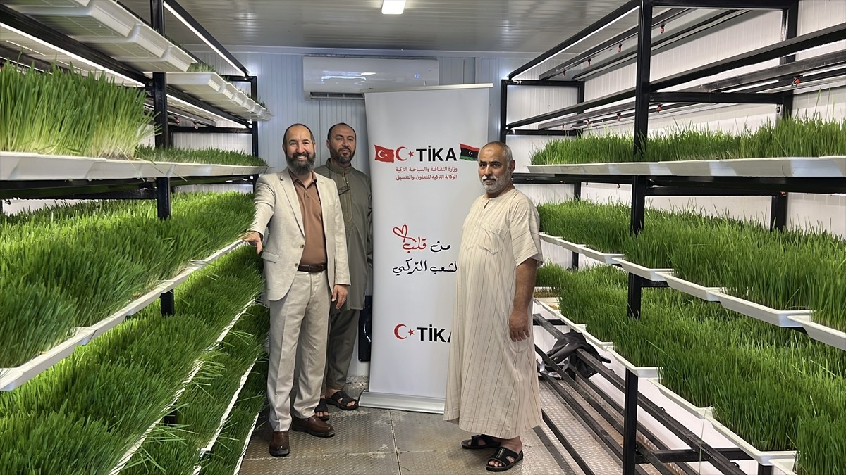 Türk İşbirliği ve Koordinasyon Ajansı Başkanlığı (TİKA), Libya'da hayvancılığın desteklenmesine...