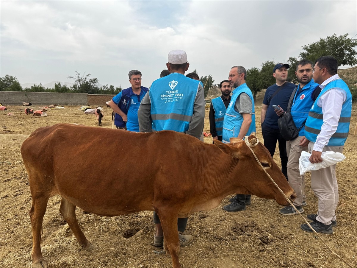 Türkiye Diyanet Vakfı (TDV), vekaletle kurban kesim organizasyonu Afganistan'da 8 bin 400 hisse...