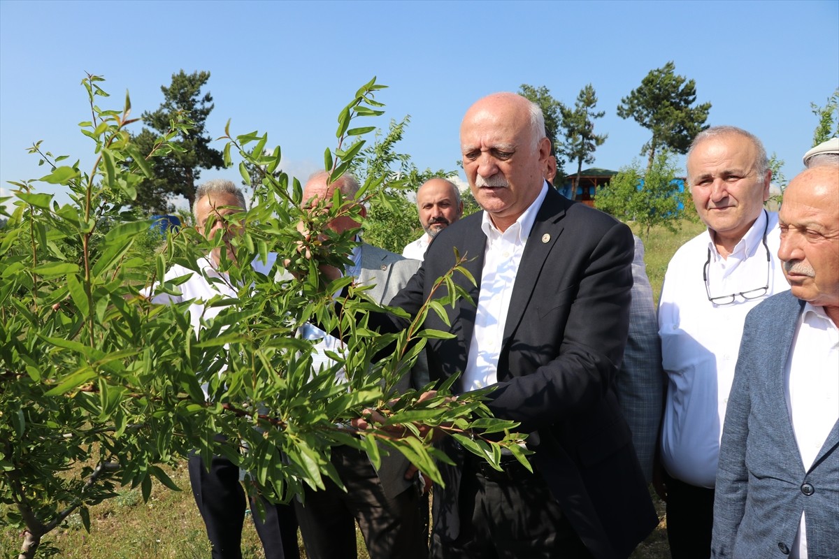 Türkiye Ziraat Odaları Birliği (TZOB) Genel Başkanı Şemsi Bayraktar, Karabük'ün Safranbolu...