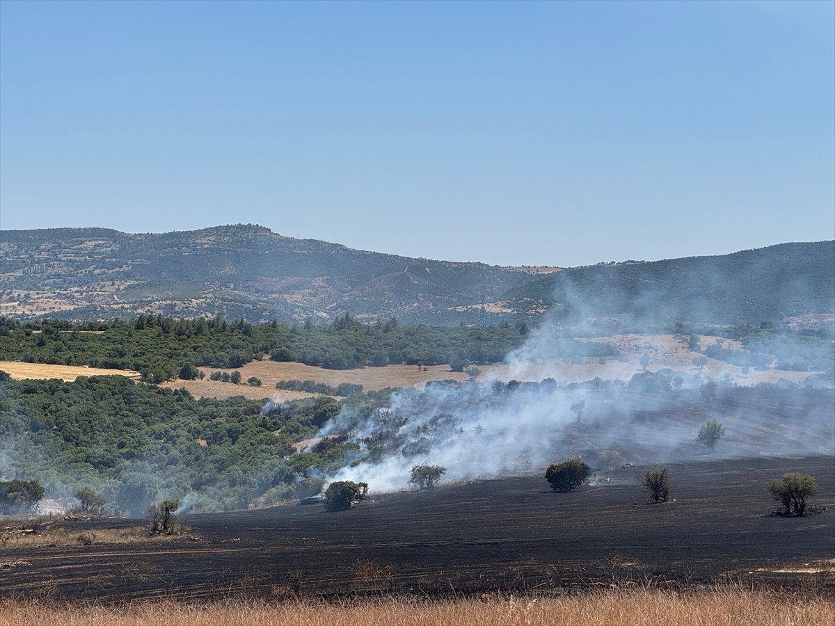 Uşak'ta arpa tarlasında başlayıp makilik alana sıçrayan yangına havadan ve karadan müdahale...