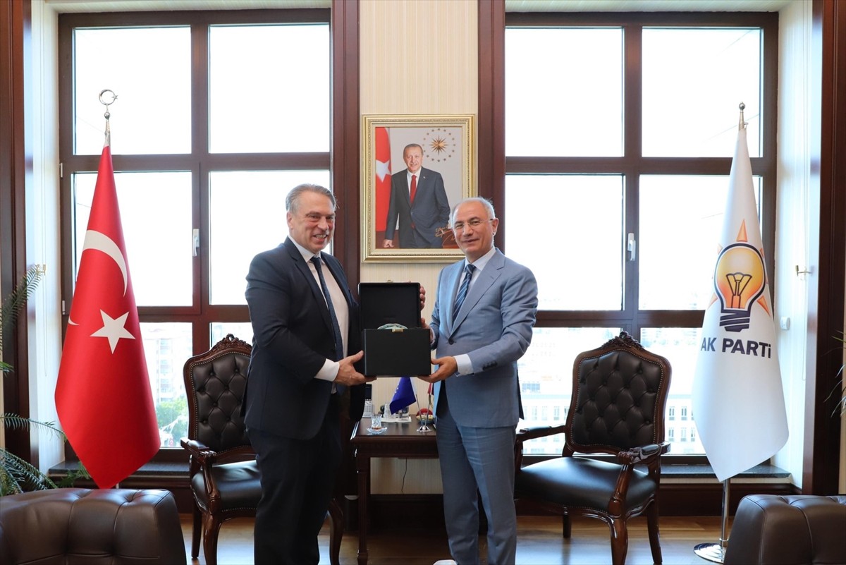 AK Parti Genel Başkanvekili Efkan Ala (sağda), AB Türkiye Delegasyonu Başkanı Büyükelçi Thomas...